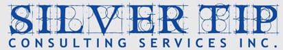 Silver Tip Consulting Services Inc.